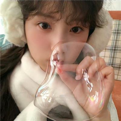 夏日菊花茶